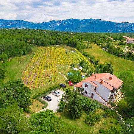 Apartments Valoda Nedescina Exterior photo